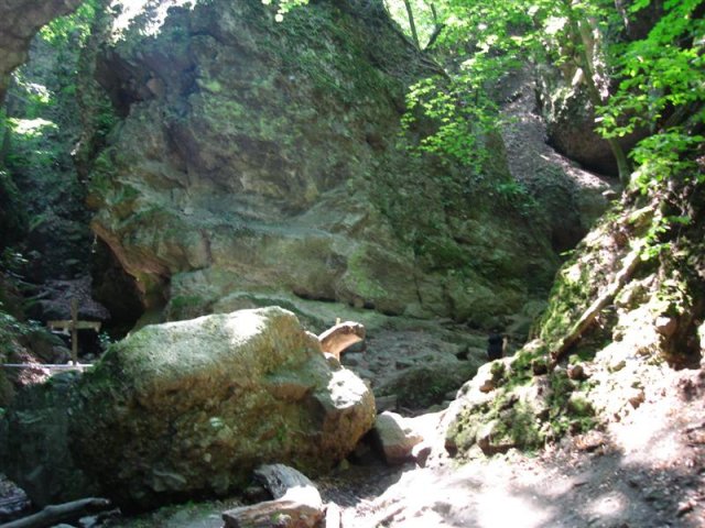 DSC05837 (Medium)